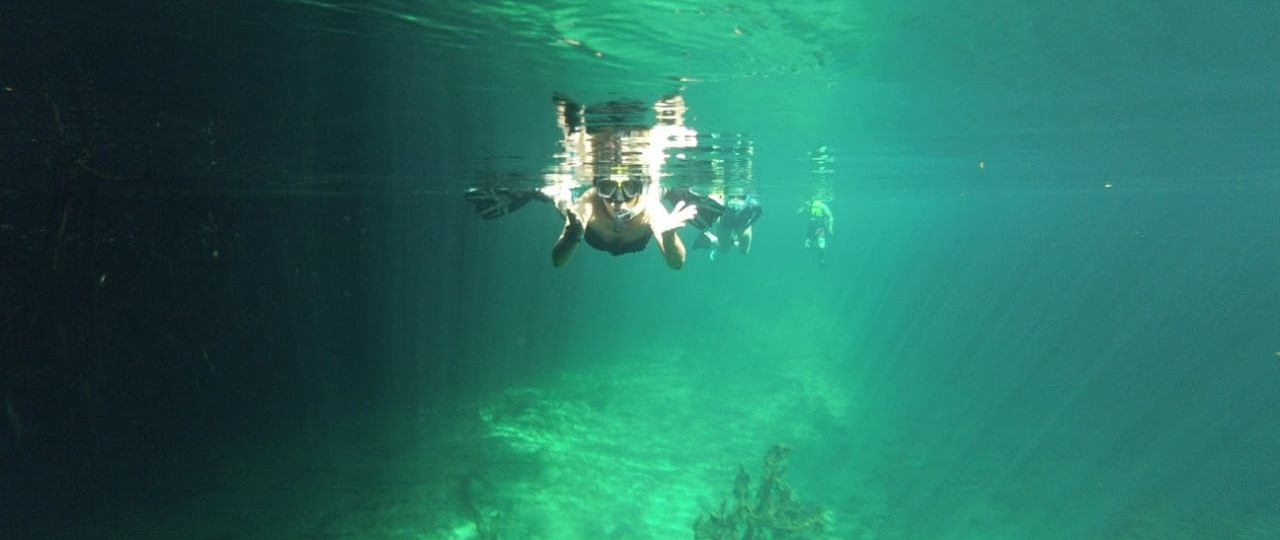 Cenote snorkel