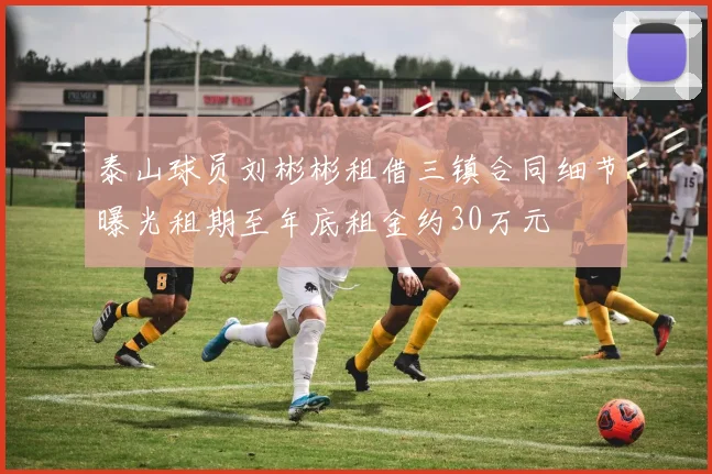 泰山球员刘彬彬租借三镇合同细节曝光租期至年底租金约30万元